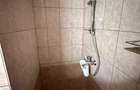 Două case de vânzare în POPRICANI Teren 2.369 mp PRET 165000euro - 10