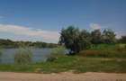 Teren agricol 5 ha.  comuna Ileana, Calarasi  - 1
