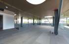 Vila Capo | Luxury offices 1800 mp | Dorobanti Capitale - 12