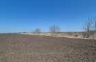 GRADISTEA - Sat Sitaru, teren agricol 11.961mp, ideal investitie - 10
