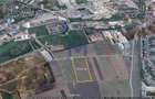 [ 2,6 HA ] Randament bun I Locație strategică I Autostradă - 5