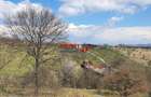 Teren 1654 mp zona Cetate Schit - 3