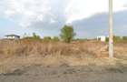Teren Intravilan Dragomiresti -Deal | Localizare Excelenta - 5