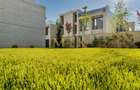 Vila duplex P+2, 6 Cam. | Curte individuala | Complex Rezidential Nou | PIPERA - 2