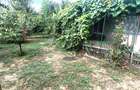 Casa Brailita-Vidin, 4 camere, Teren 573 mp - 12