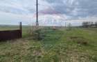Teren intravilan in  Sebis 5000 mp / Strada Ciutariei - 3