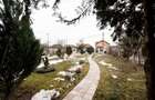 RECO Vila 5 camere, zona Grigorescu, curte mare si garaj - 36