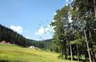Teren Poiana Angelescu, Sacele, Brasov - 6