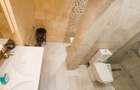 Apartament 3 camere Herastrau - 8