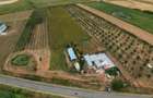 Livadă de 3,6 hectare în Iratoșu – Oportunitate - 2