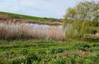 Paradisul Verde-Corbeanca,intravilan,10300mp,deschidere lac-120m,view deosebit - 4