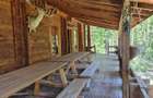 DOMENIU DE 2.1 HA CU 2 CABANE, LAC SI PADURE - OPORTUNITATE PENTRU TURISM SI RET - 13