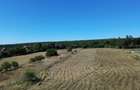 TEREN INTRAVILAN 6.200 MP | MITOCU DRAGOMIRNEI | 180,15 ML DESCHIDERE | 12 KM DE