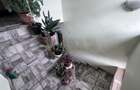 Casa individuala , 4 camere, 500 mp teren , Floresti - 7