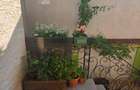 Apartament 2 camere Bazilescu - 4