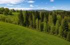 Bran Mountain Retreat – Doar 3 vile exclusiviste în inima Branului - 4