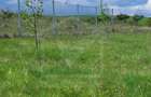 Teren extravilan 2000 mp, împrejmuit, panoramă superbă – Sălicea (Cluj) - 9