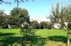 Casa 3 camere, teren 3625 mp, toate utilitatile, Sacele, Brasov - 3