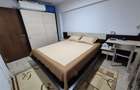 Apartament 3 camere Nicolina Str Salciilor - 19