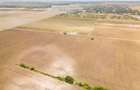 DASCALU – TEREN INTRAVILAN 11300 MP, INVESTITIE! - 17