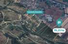Teren extravilan 95.23 ha lângă Caransebeș - 7