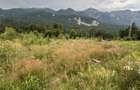 Teren intravilan, 1.724 mp, zona Sinaia - 20