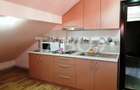 Apartament de inchiriat  56 mpu 2 camere mansarda in vila Selimbar