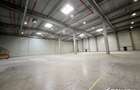 Depozit logistic 2610mp, 300mp birouri, H= 11m, ISU, zona Aeroport - 3