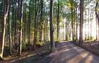 Teren intravilan 600-700 mp | CF individual | Utilități incluse| Monolit Village - 2