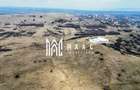 Teren 6,75 ha | Panoramă și Acces Excelent | Dealul Daii - 7