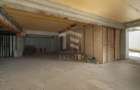 Spatiu comercial  424 mp  Oportunitati multiple - Baneasa Jandarmeriei - 8
