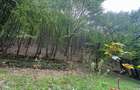 Cabana 5 camere, 75 mp| teren 900 mp| zona Iezer Ighiel - 11