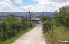 Teren de vanzare, 2864 mp, Dambul Rotund - 2