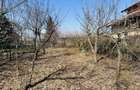 Domeniu splendid 2500 mp teren pe malul lacului Morii, vila 300 mp, Rosu-Chiajna - 12