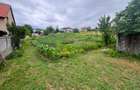 Teren de vanzare intravilan Bistrita 8 ari - 7