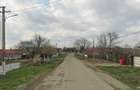 Vanzari terenuri in Poiana