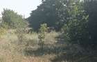 LOT COMASAT 31.136 MP - POPESTI-LEORDENI - PUG 2024 - ZONA L1 - 3