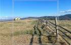 Teren intravilan - 1530 mp, PUZ - Paltinis, Sibiu - 4