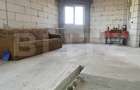 Casa P+1+M, 258 mp, teren 2.000 mp, zona Crucisoara