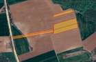 Ciolpani, Teren intravilan 4.5 Hectare - 3