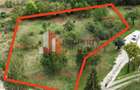 Teren intravilan 2.600 mp Predeluț Bran | Vedere Bucegi și Castelul Bran | Utili - 7