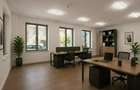 Apartament 4 Camere cu destinatie birou, cabinet, in elegantul Cartier Armenesc - 2