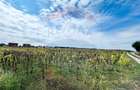 Teren 14.863mp, deschidere 42mp, acces 3 laturi - Ciorogarla, langa A0