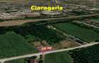 Teren intravilan Ciorogarla 520 mp - 1