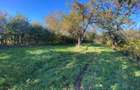 Teren extravilan 3200mp zona Tropinii Vechi - 1