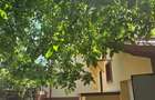 Vânzare Proprietate – Casă + teren | Zonă istorică Târgoviște | Calea Domnească - 13