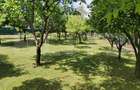 Vila la cheie, Zona Amati, 1241 mp teren - 17