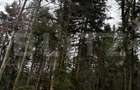 Teren unic, exclusivist  4000 mp, in inima muntilor, Sinaia - 6
