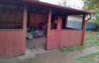ILFOV - SE VINDE CASA IN ISLAZ / COM. BRANESTI - 40