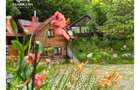Afacere turistică „La Cheie” în inima Mărginimii Sibiului - 46